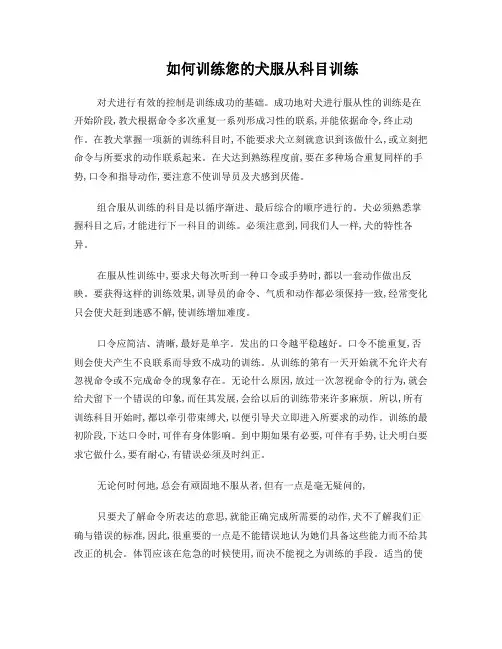 如何训练犬服从科目训练