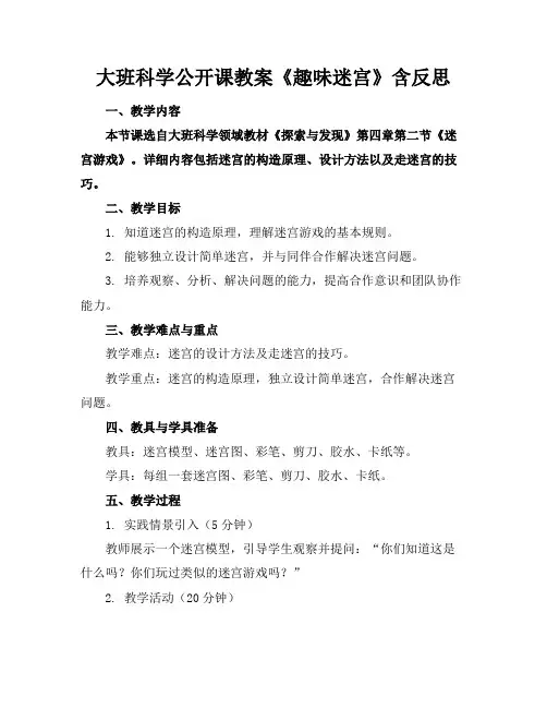 大班科学公开课教案《趣味迷宫》含反思