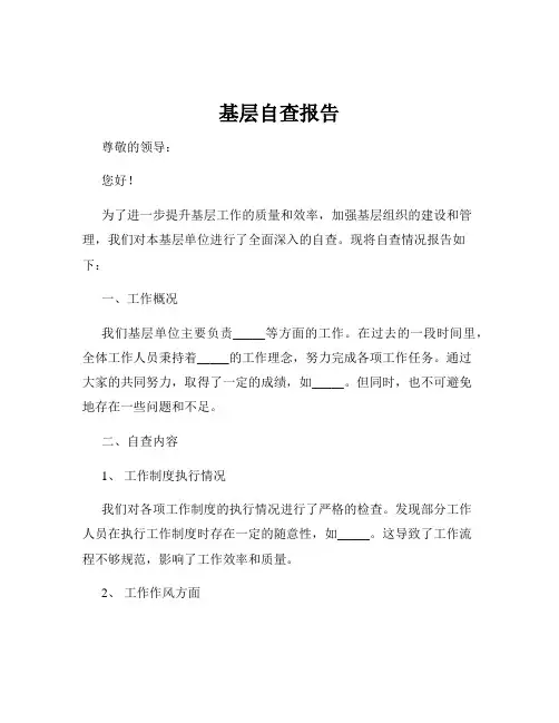基层自查报告
