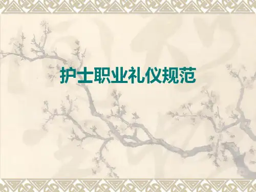 护士职业礼仪规范PPT课件