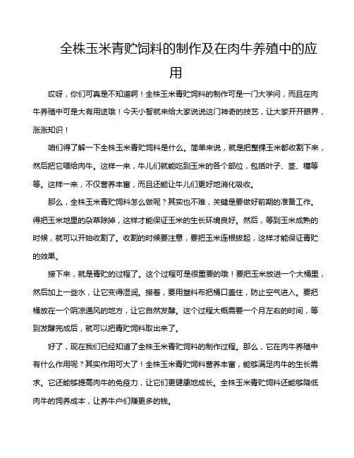 全株玉米青贮饲料的制作及在肉牛养殖中的应用