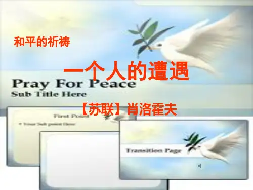 高中语文苏教课标版必修二《一个人的遭遇(节选)》刘婧PPT课件 一等奖新名师优质课