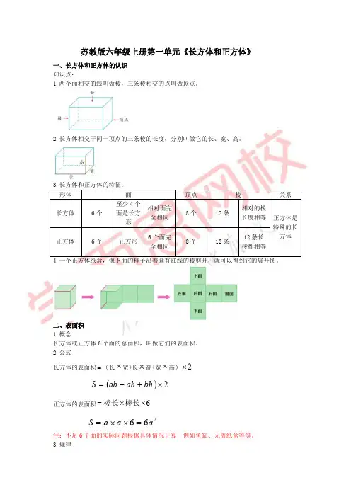 苏教版-六年级上册-第一单元-长方体和正方体