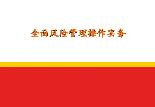 全面风险管理操作实务