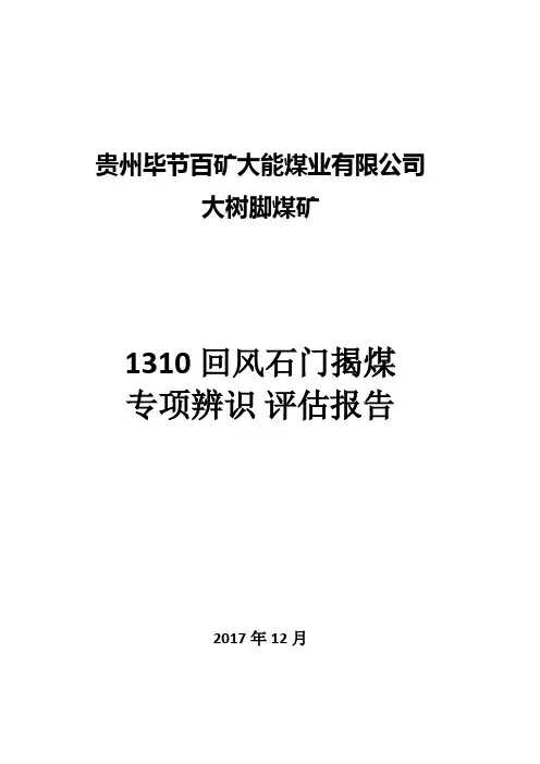 1310回风石门揭煤安全风险专项辨识评估报告