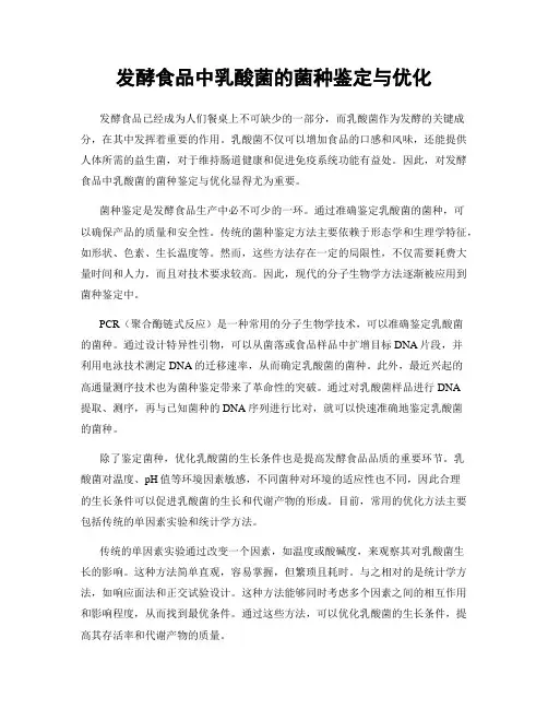 发酵食品中乳酸菌的菌种鉴定与优化