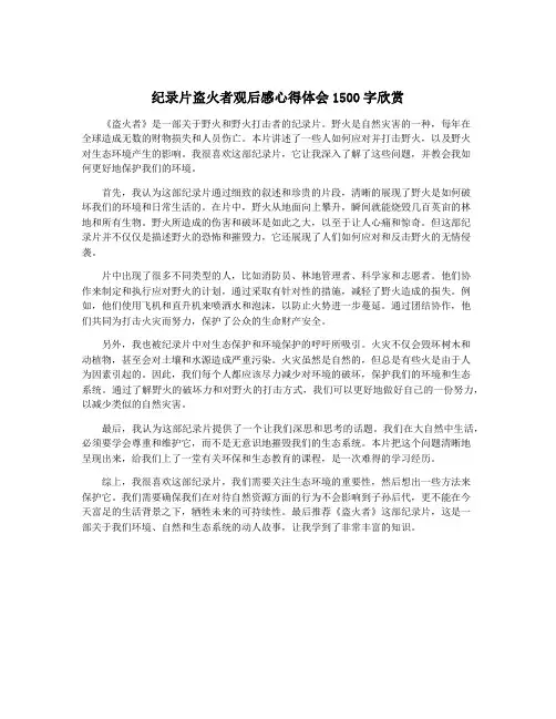 纪录片盗火者观后感心得体会1500字欣赏