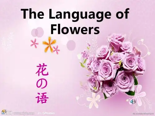 The Language of Flowers 花语