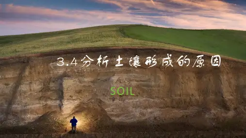 鲁教版(2019)高中地理必修第一册分析土壤形成的原因终