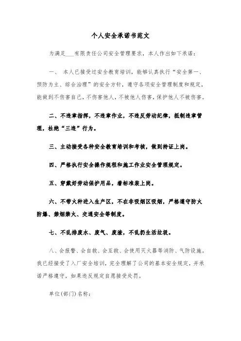 个人安全承诺书范文（7篇）