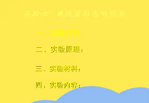放线菌形态的观察- 唐山师范学院(“菌丝”相关文档)共10张