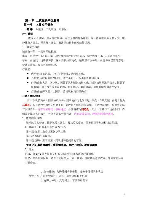 穴位解剖学