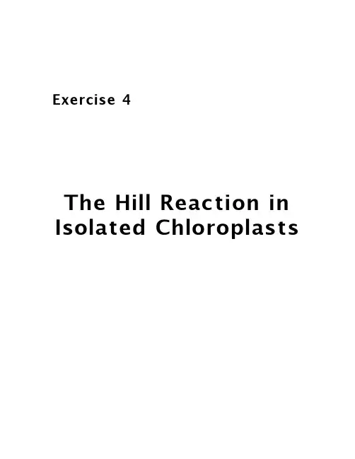 TheHillReactioninIsolatedChloroplasts：在离体叶绿体希尔反应