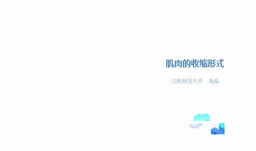 肌肉的收缩形式