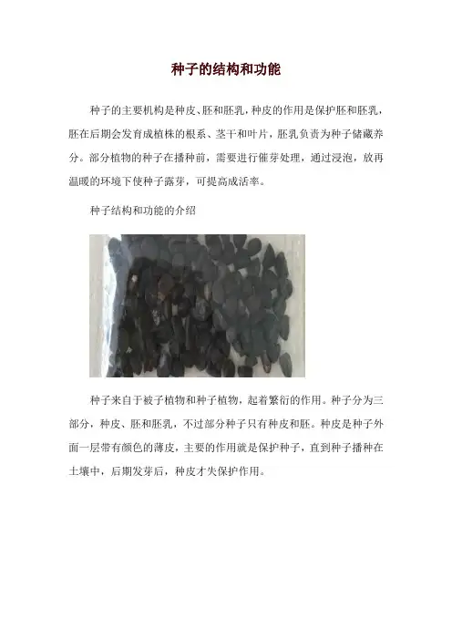 种子的结构和功能