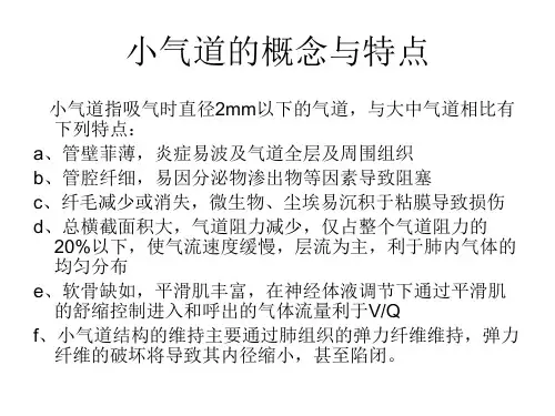 肺功能知识ppt课件