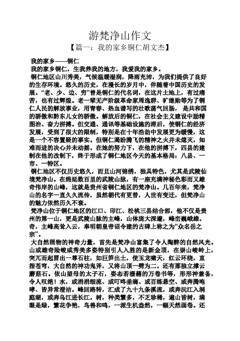 游梵净山作文
