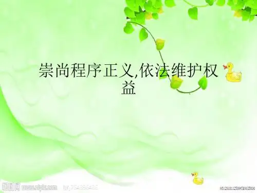 崇尚程序正义,依法维护权益