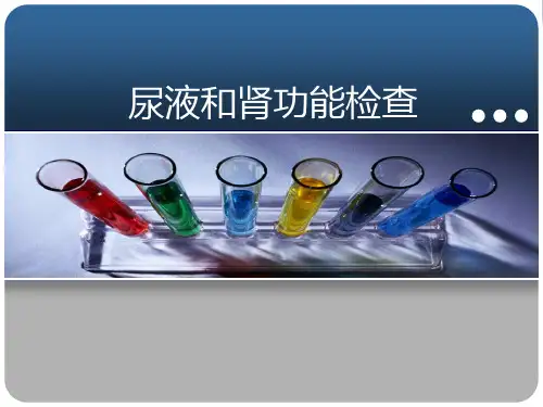 尿液和肾功能检查 (诊断学)