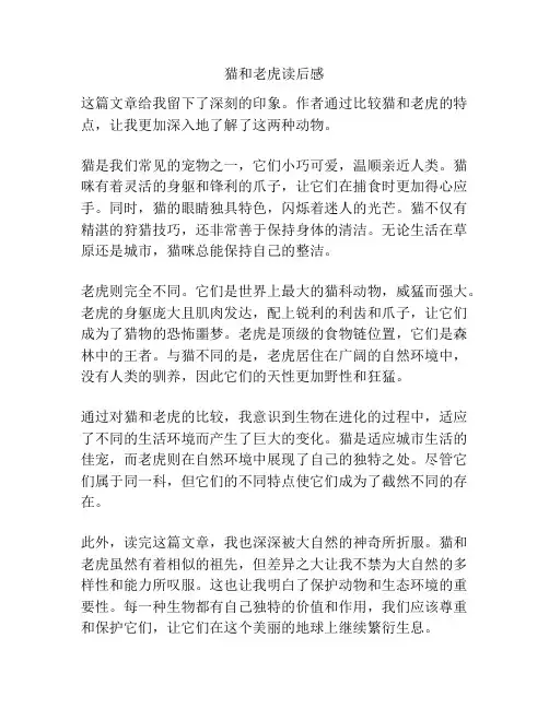 猫和老虎读后感