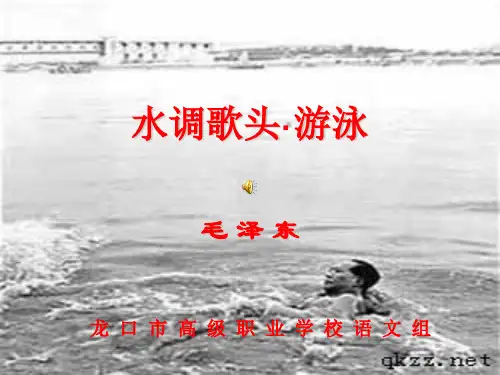 《水调歌头游泳》PPT课件