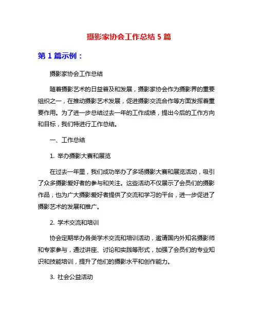 摄影家协会工作总结5篇