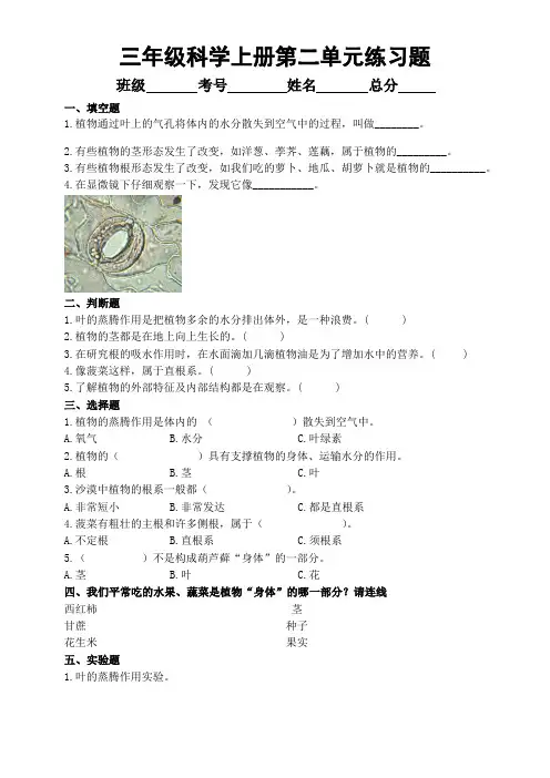 小学科学青岛版六三制三年级上册第二单元《植物的生活》练习题2(附参考答案)(2022秋)