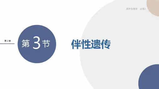 新教材-高中生物学-RJ-必修2第2章- 第3节