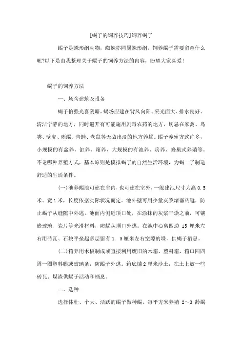 蝎子的饲养技巧 饲养蝎子
