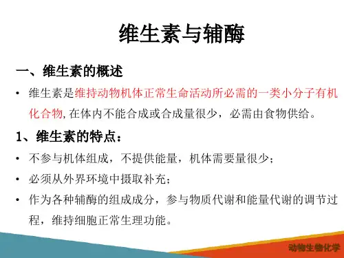 维生素与辅酶(动物生物化学课件)