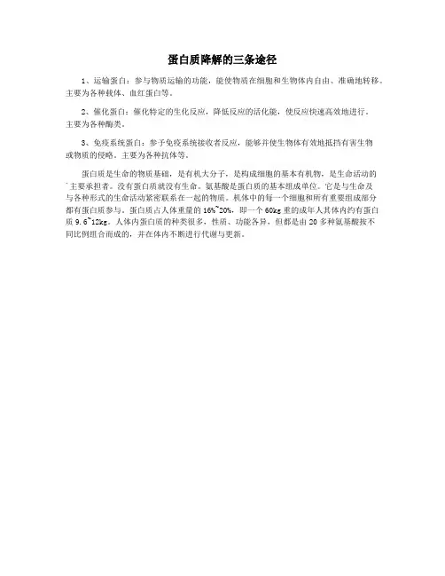 蛋白质降解的三条途径