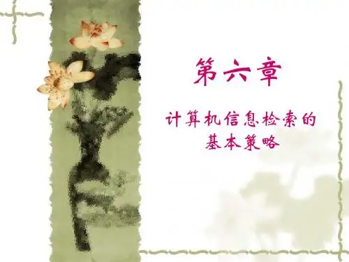 第六章 检索策略