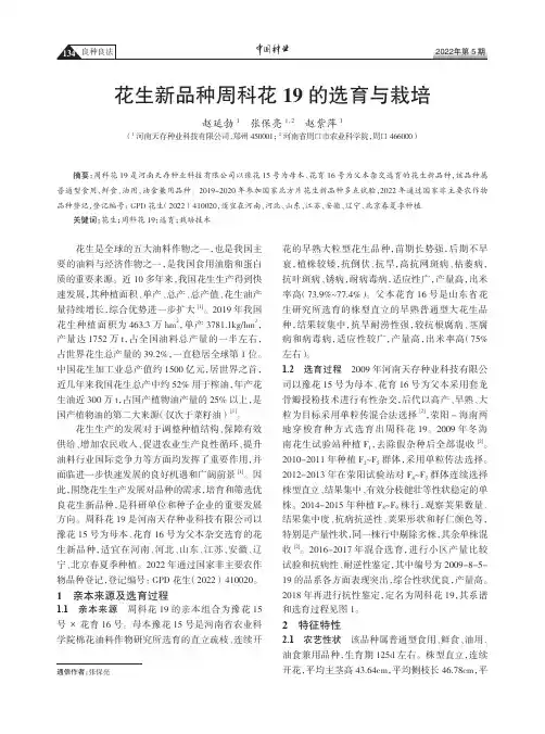 花生新品种周科花19 的选育与栽培