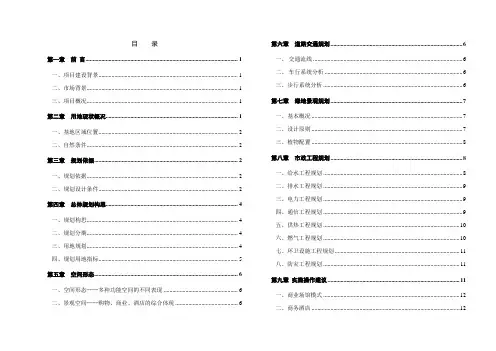 1010霍尔果斯金大门国际贸易中心修建性详细规划说明书