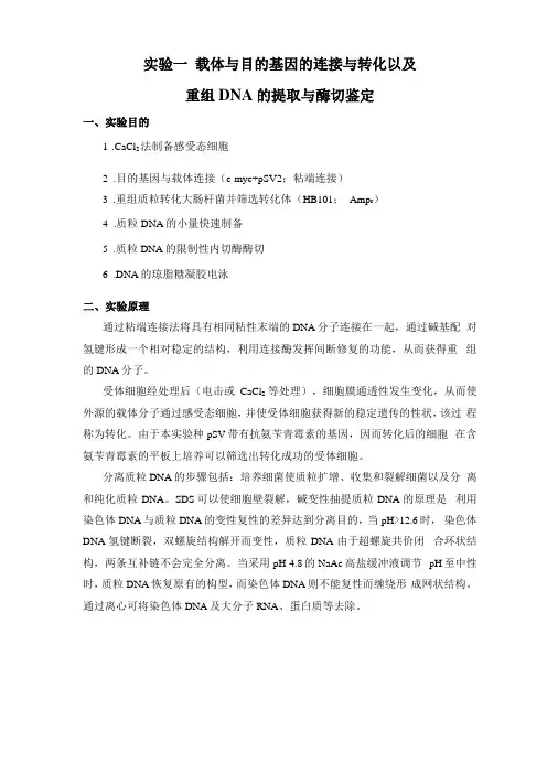 载体与目的基因的连接与转化以及重组DNA的提取与酶切鉴定