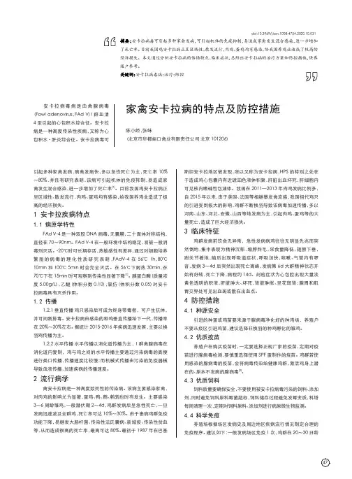 家禽安卡拉病的特点及防控措施