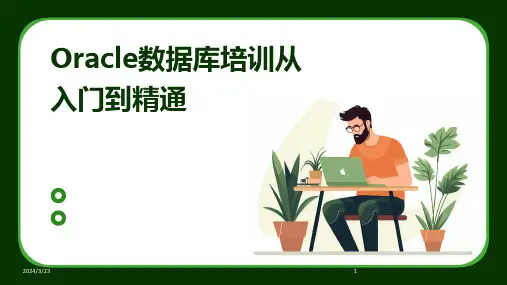 2024年度Oracle数据库培训从入门到精通