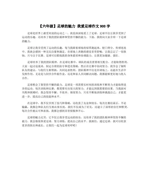 【六年级】足球的魅力 我爱足球作文900字