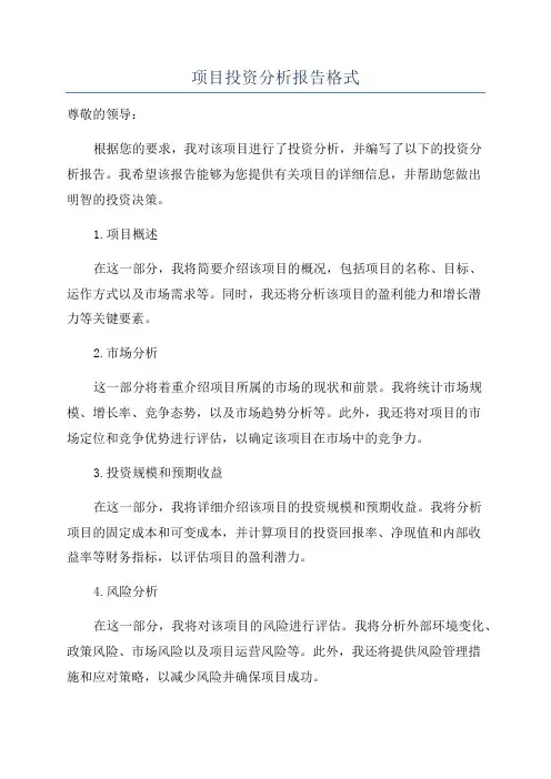 项目投资分析报告格式