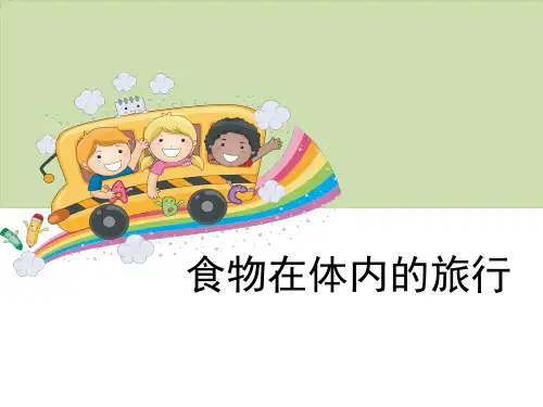 四年级上册科学课件-《食物在体内的旅行》教科版 (共11张PPT)