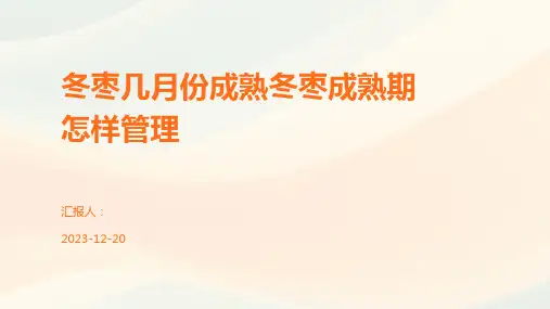 冬枣几月份成熟冬枣成熟期怎样管理