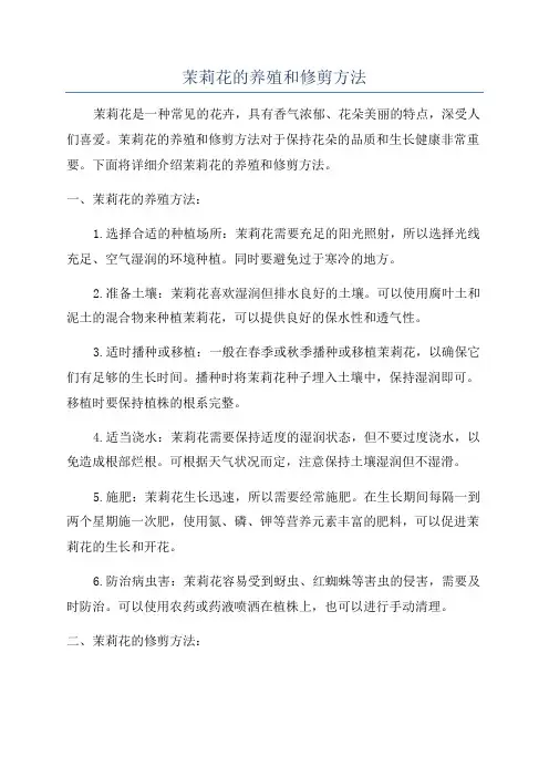 茉莉花的养殖和修剪方法