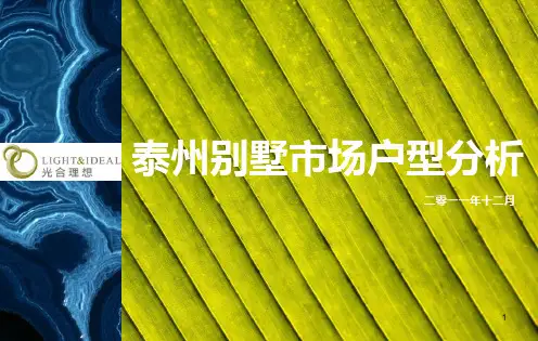 泰州别墅市场户型分析ppt课件