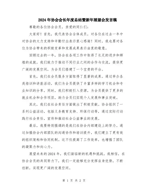 2024年协会会长年度总结暨新年展望会发言稿