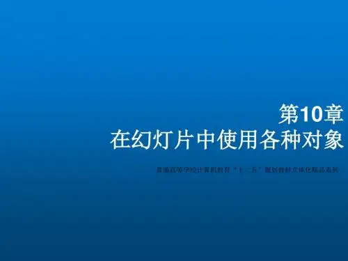Office2010高级应用教程第10章