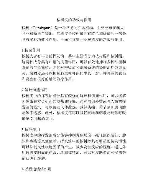 桉树皮的功效与作用