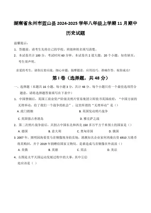 湖南省永州市蓝山县2024-2025学年八年级上学期11月期中历史试题