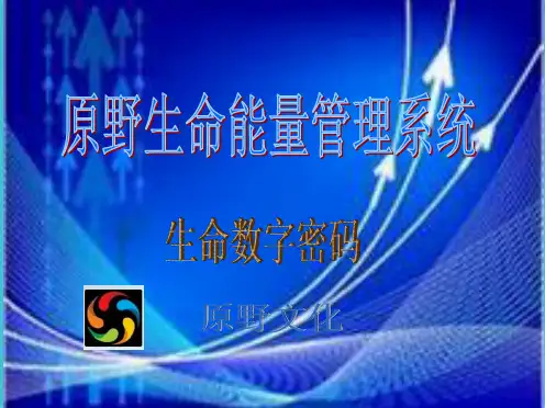 数字能量学组联合数字(共23张PPT)