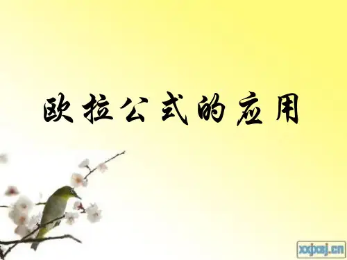 欧拉公式的应用