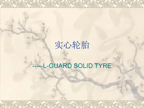 实心轮胎-演示文稿